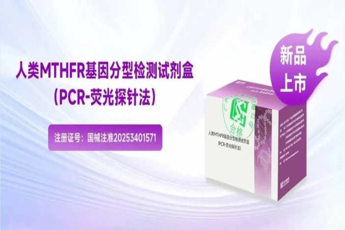 瓦力游戏| 首页 -瓦力出品,必属精品
